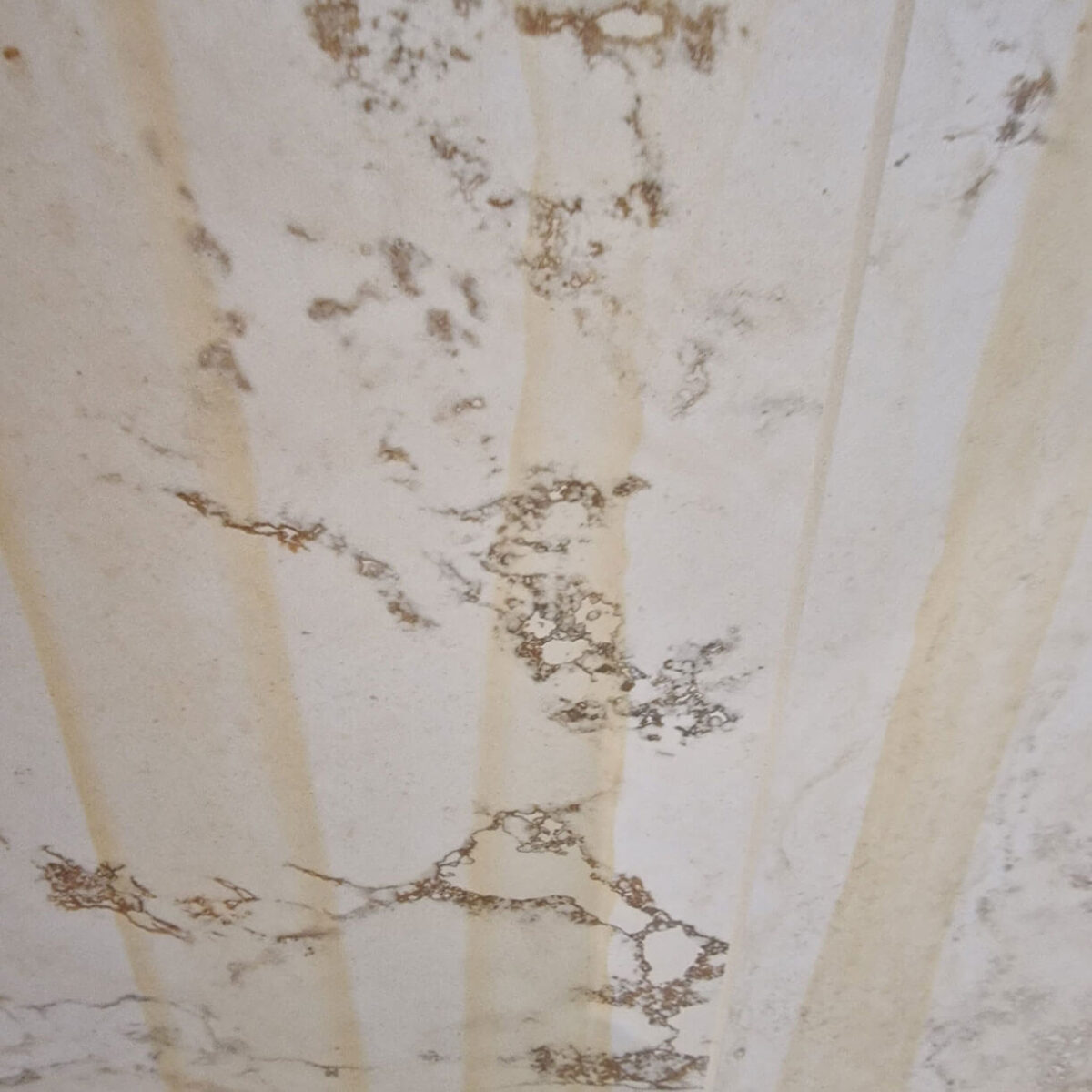 descaler pro descaler pro